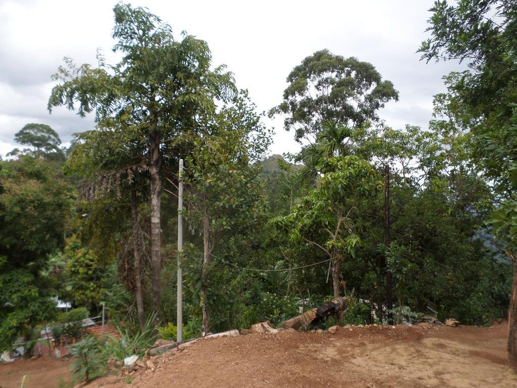 Jaye Homestay Ella Buitenkant foto