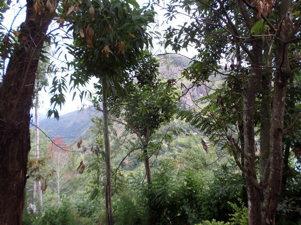 Jaye Homestay Ella Buitenkant foto