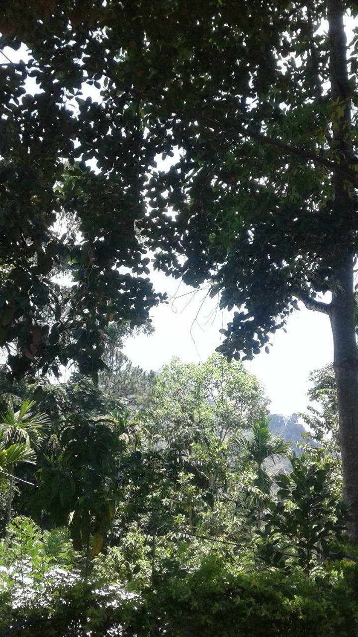 Jaye Homestay Ella Buitenkant foto